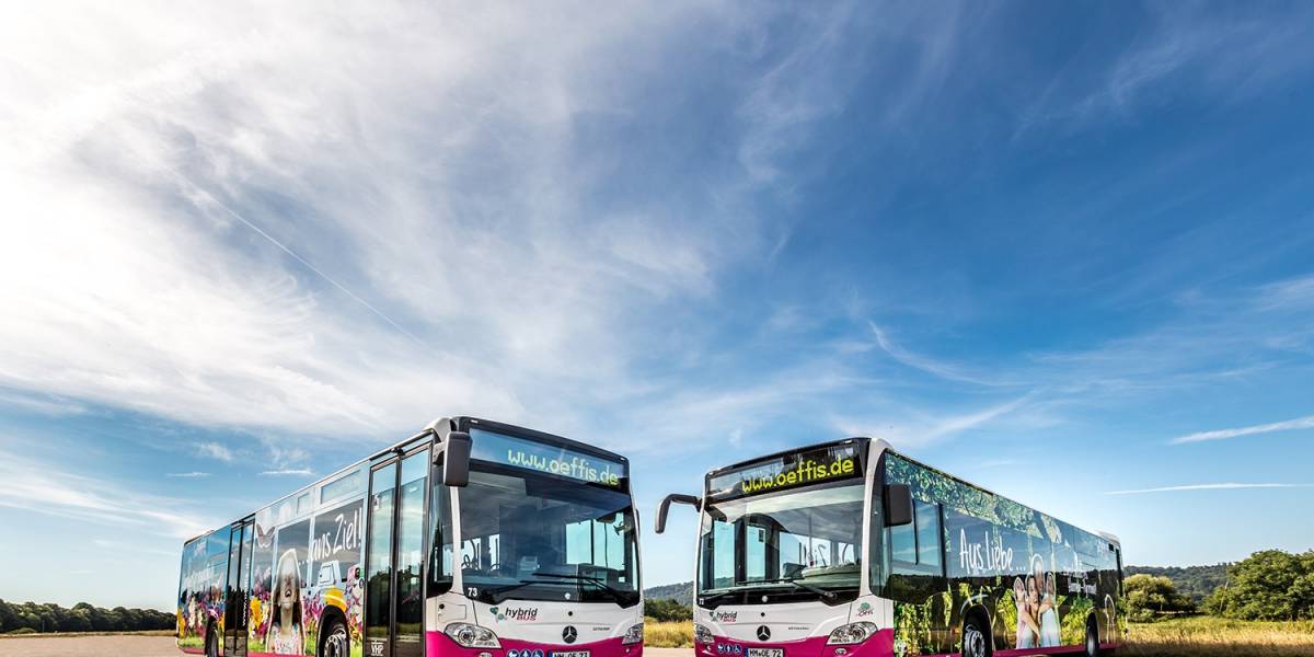 hameln_busse