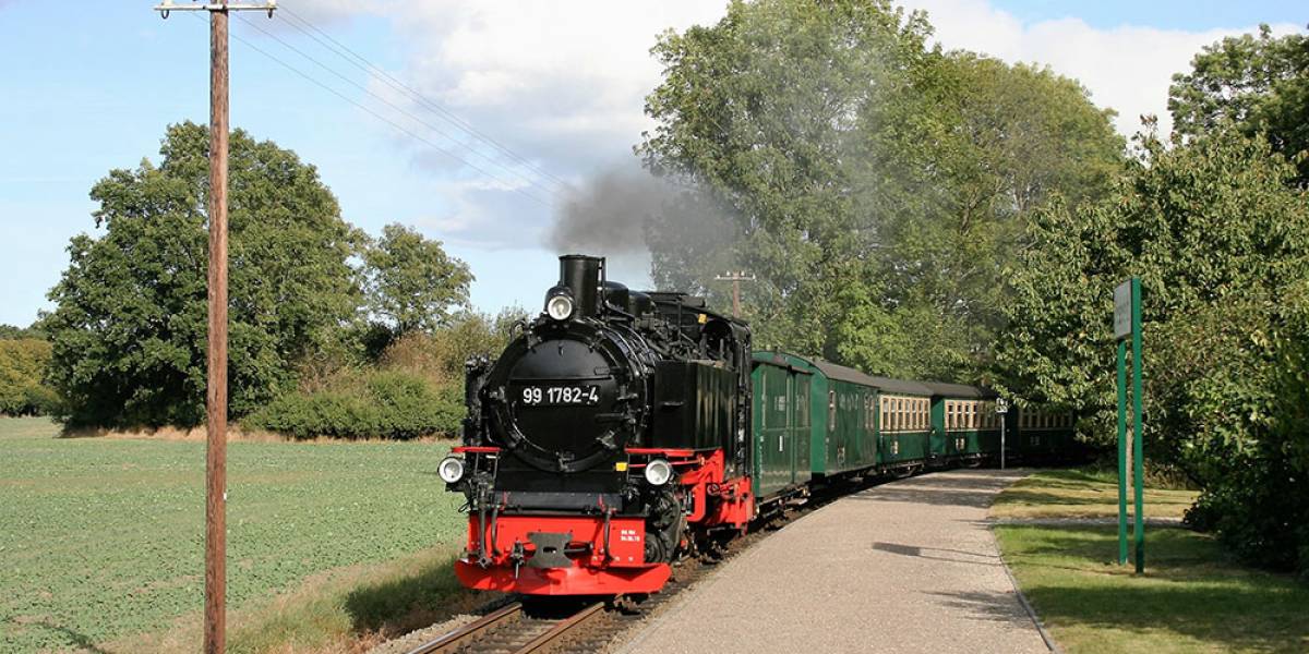 rasender_roland_zug