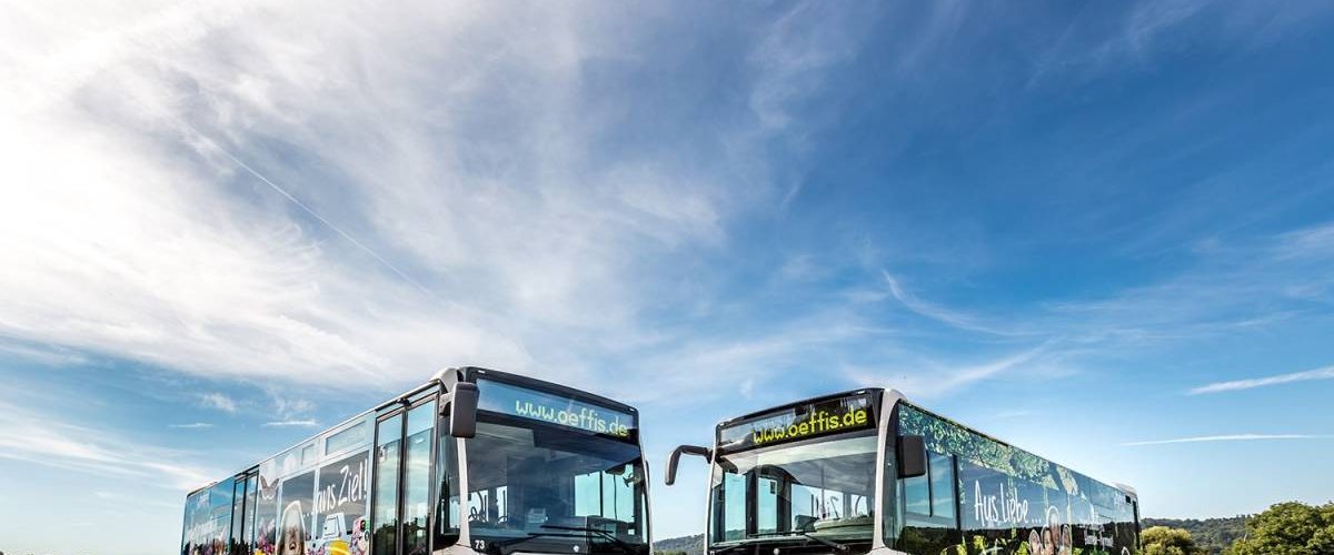 hameln_busse