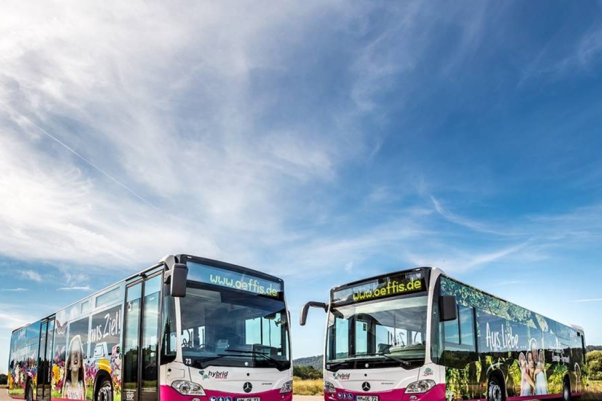 hameln_busse