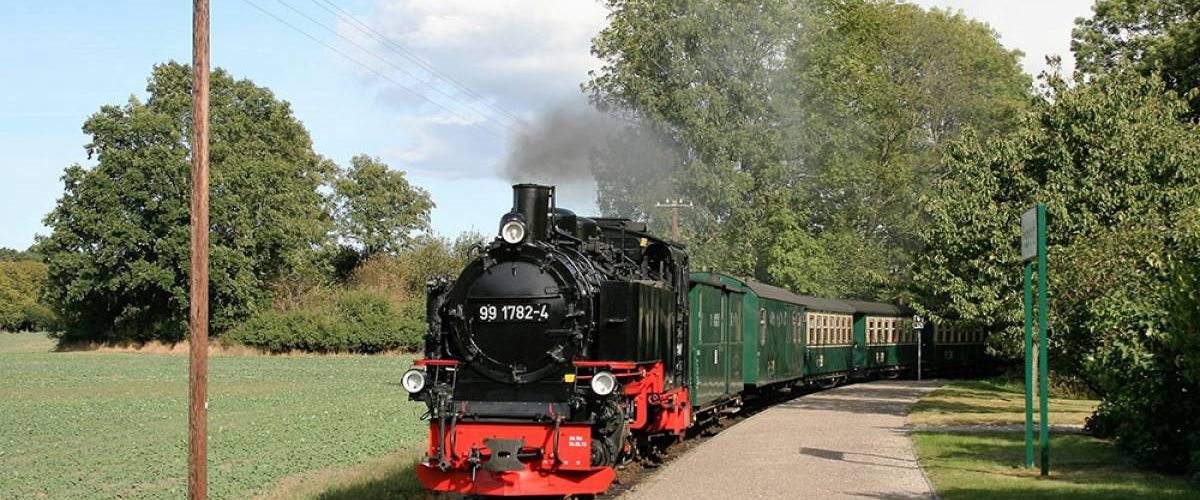 rasender_roland_zug